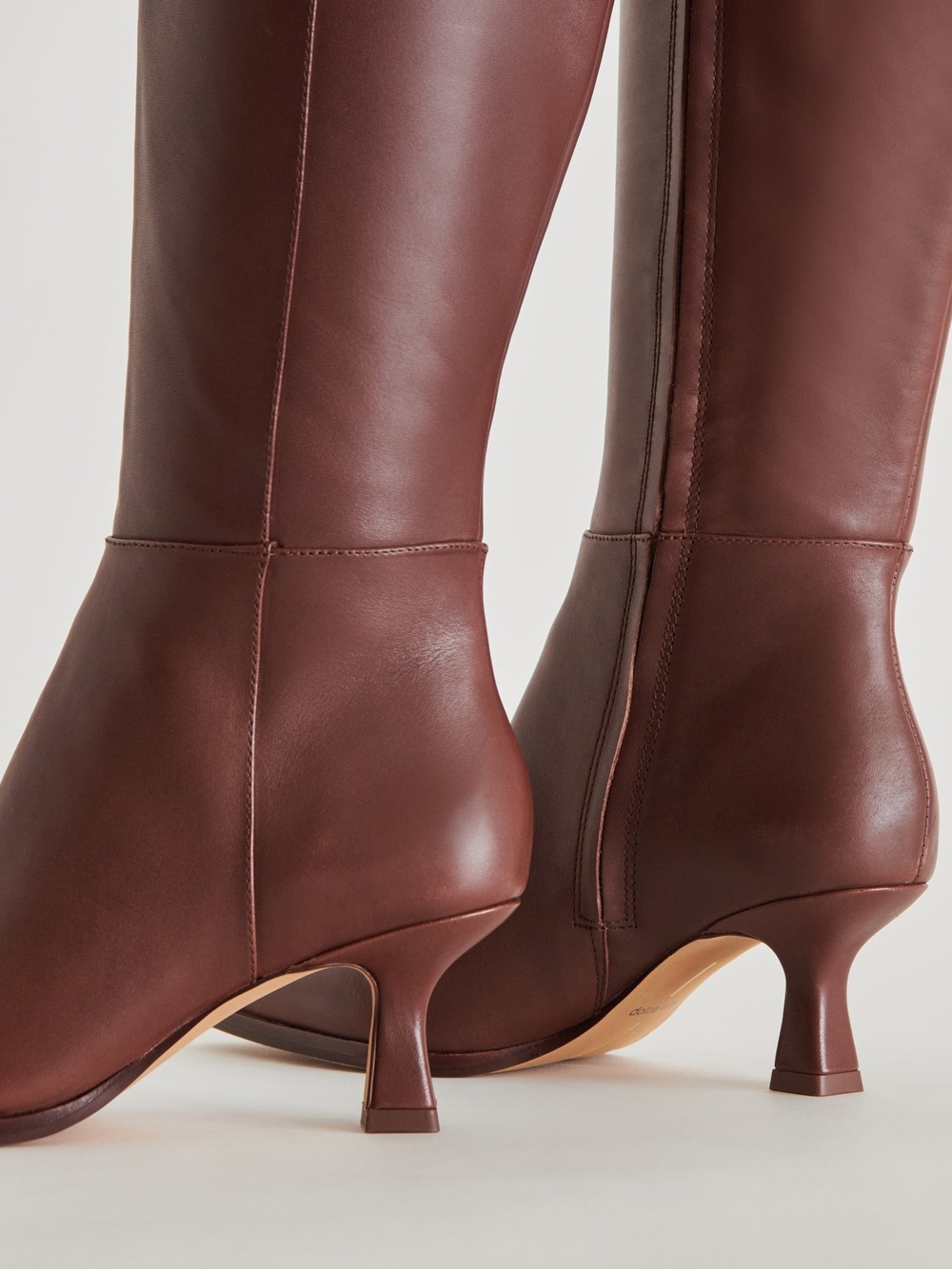 Dolce Vita XWC Brown Leather Knee Boots